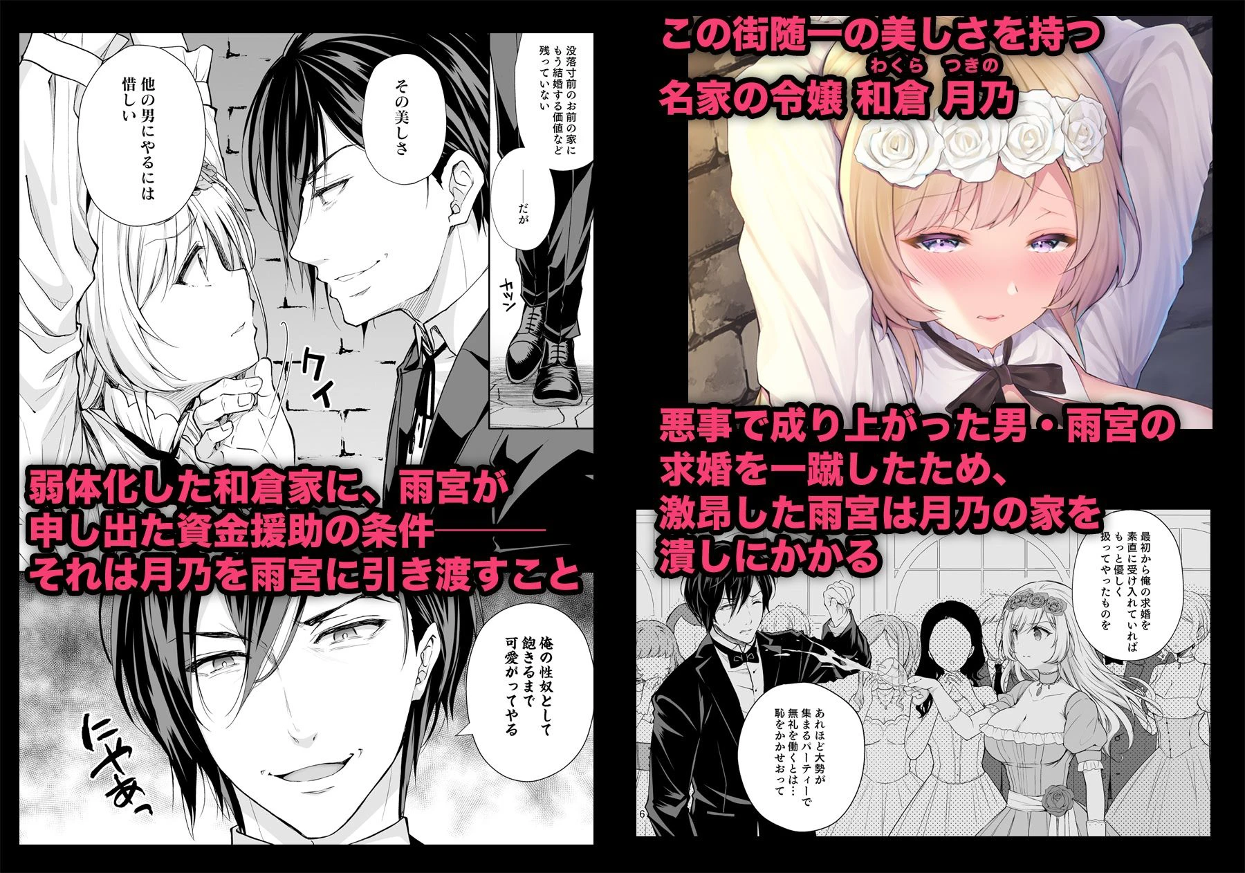 隷嬢の小夜曲 第一楽章 2ページ