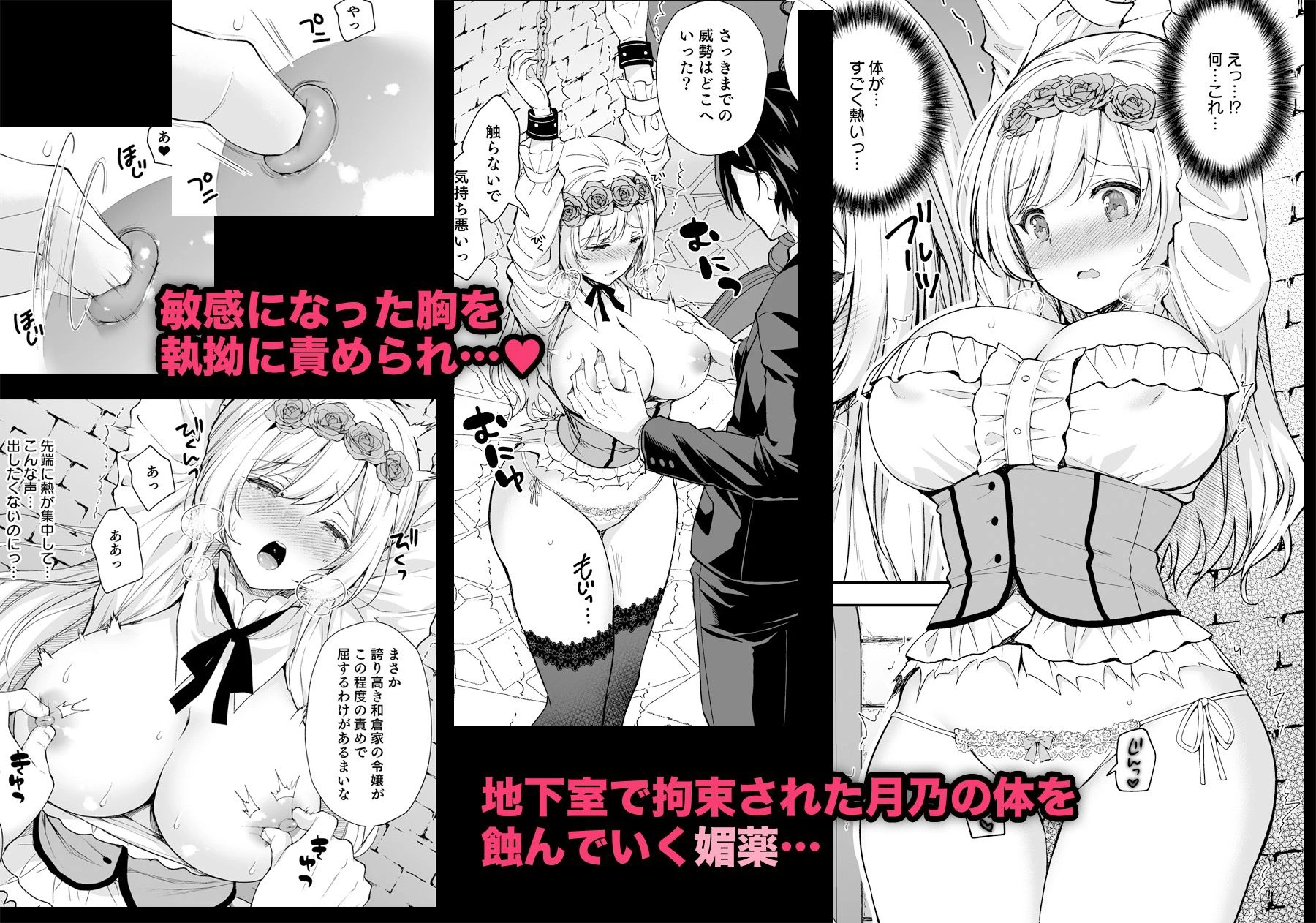 隷嬢の小夜曲 第一楽章 3ページ