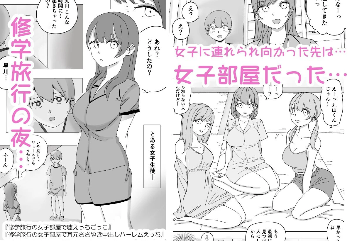 【総集編】ハーレムえっち修学旅行 2ページ