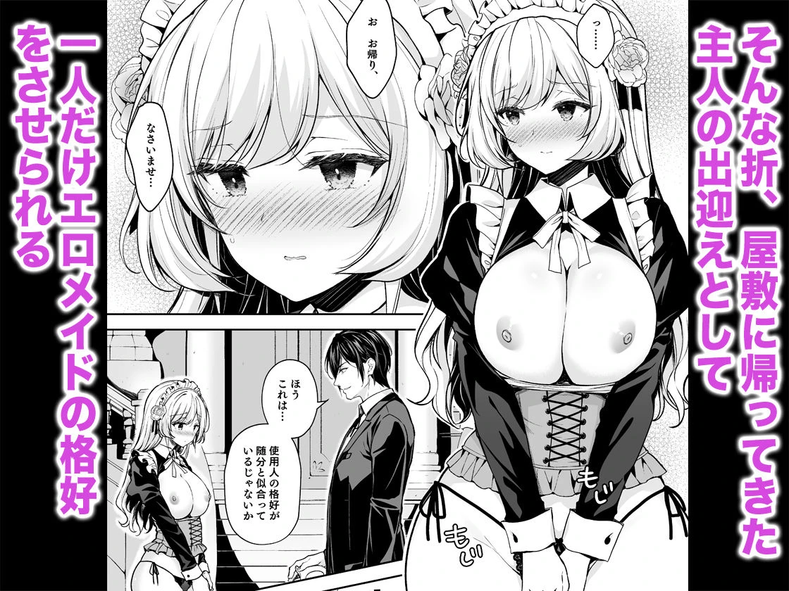 隷嬢の小夜曲 第二楽章 3ページ