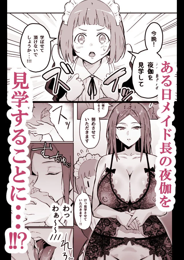 憧れの先輩メイド長の夜伽を見学 3ページ