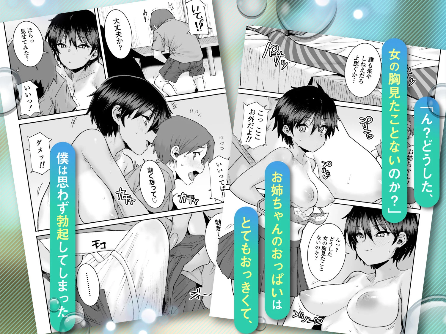 無口で気の強いボーイッシュなお姉ちゃんで僕は童貞を卒業しました 3ページ