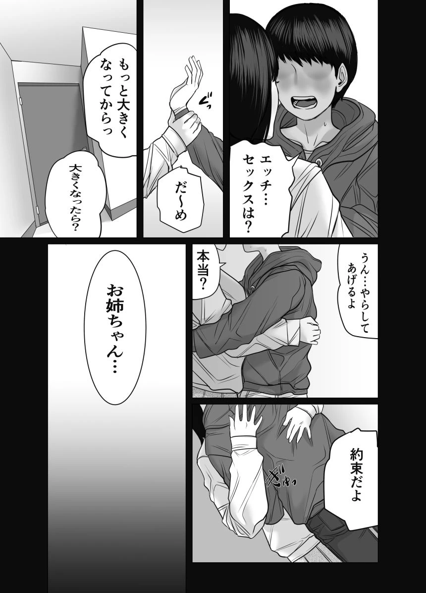 家の中で立ちんぼする姉とそれを買う弟 2ページ