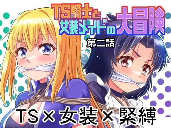 TS騎士と女装メイドの大冒険第2話 1ページ