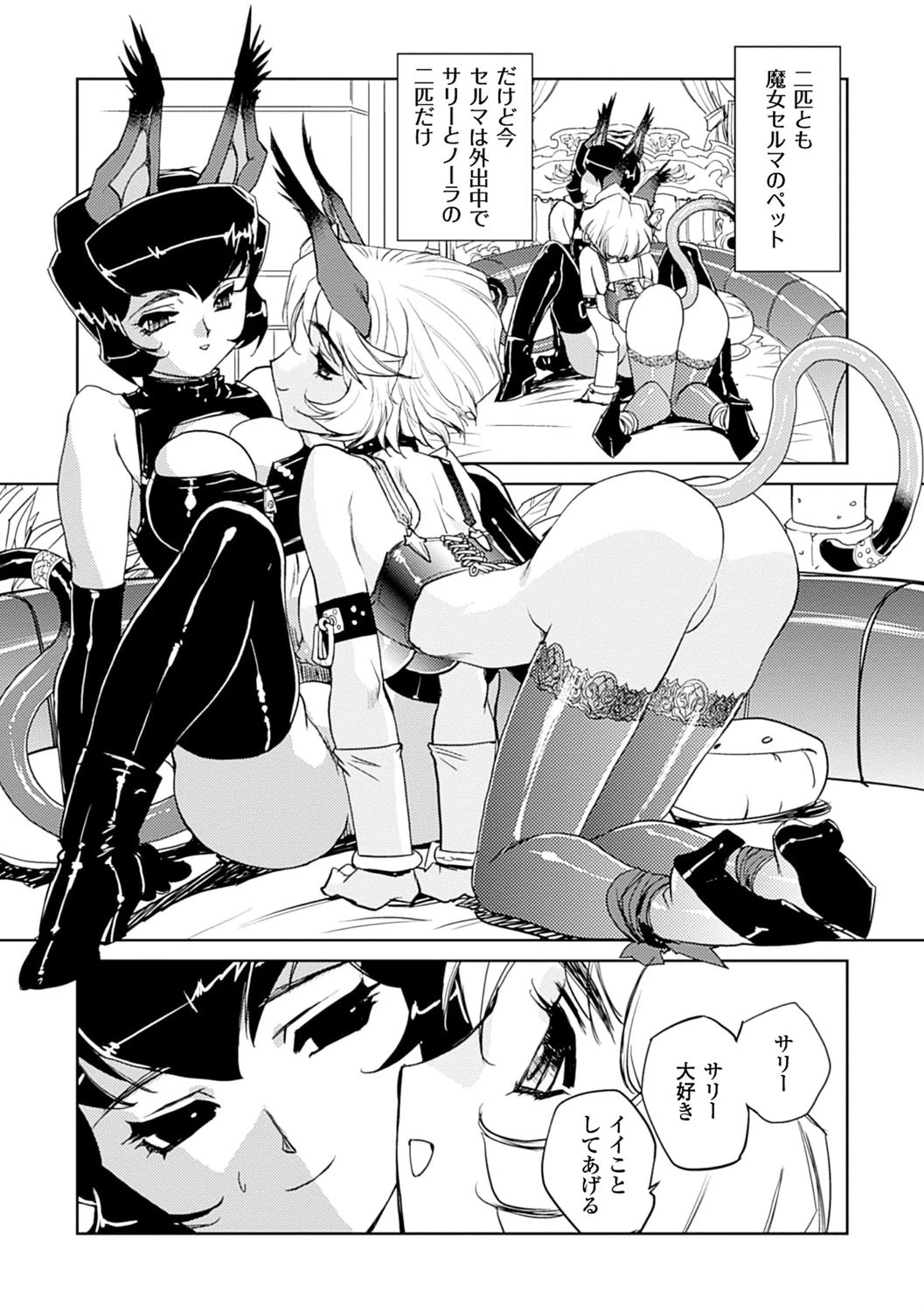 淫魔の領域 20ページ