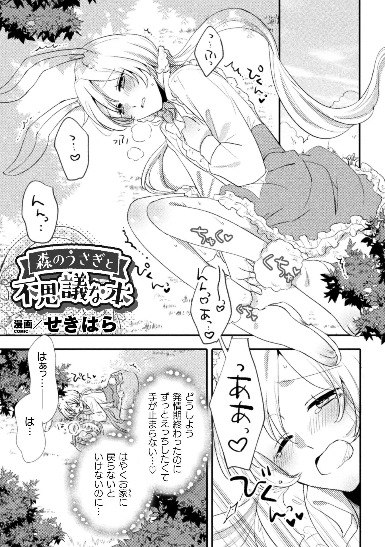森のうさぎと不思議な本（単話） エロ漫画 無料