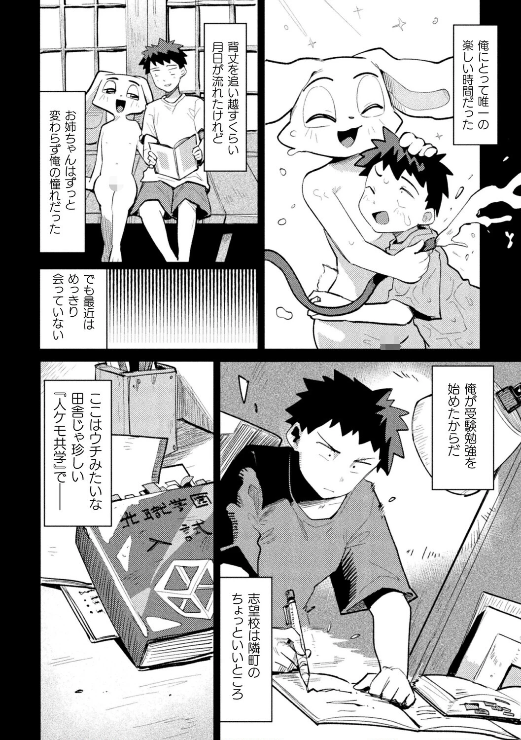 コミックアンリアルぷらすVol.8 40ページ