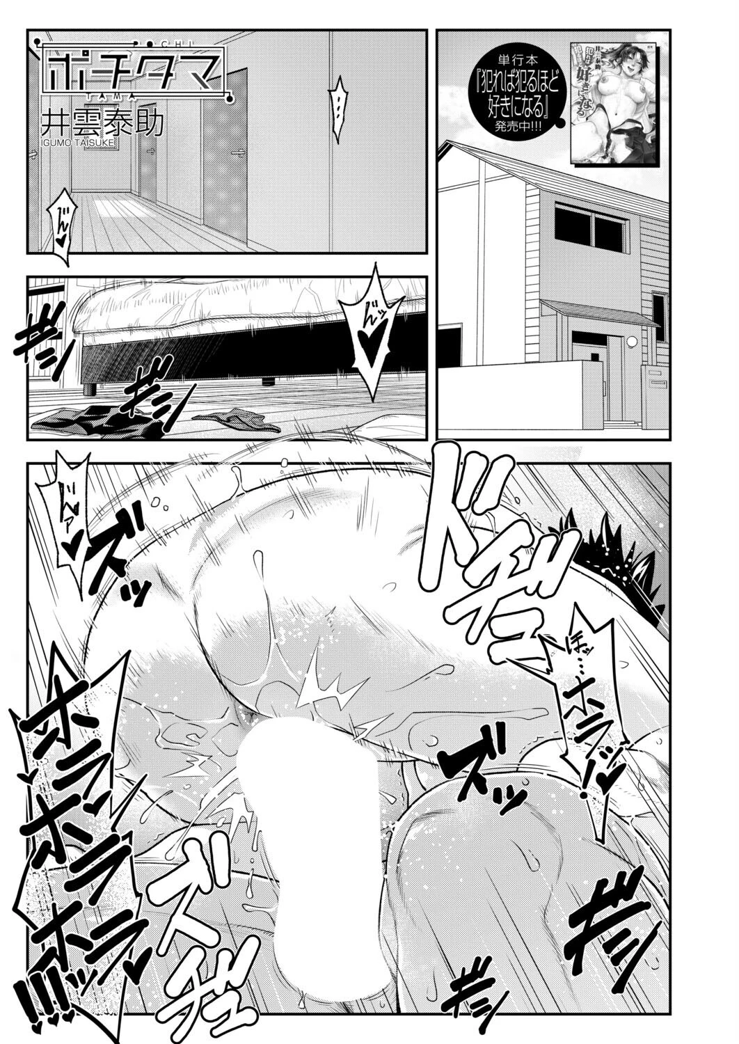 ポチタマ （井雲泰助） 井雲泰助