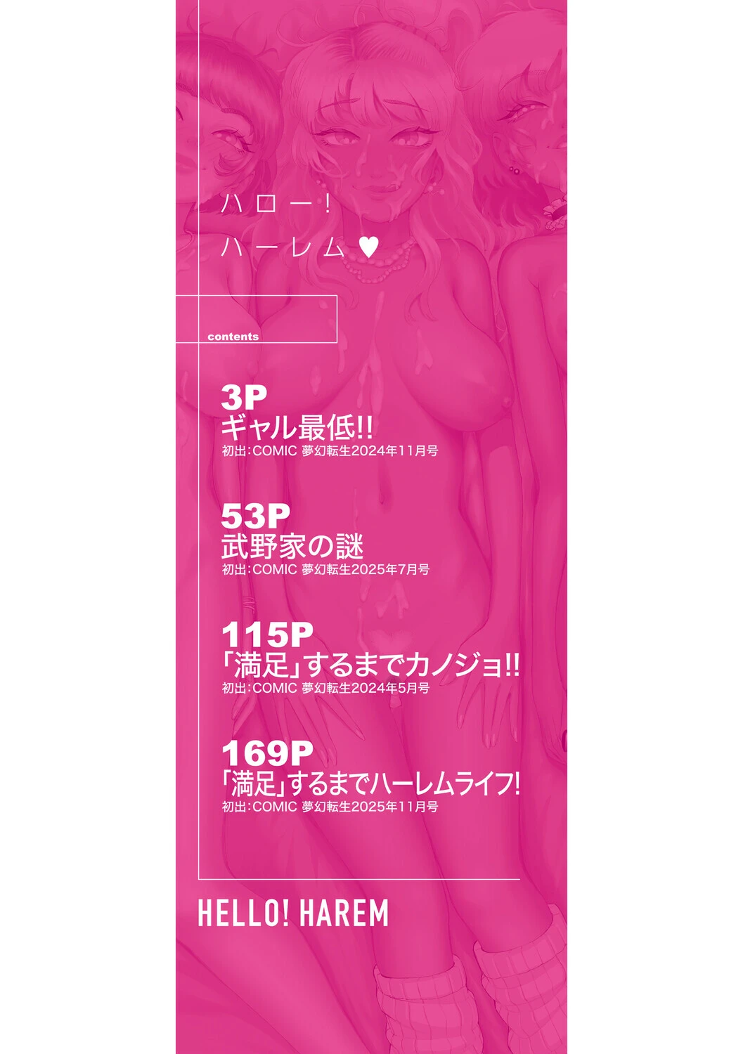 ハロー！ハーレム 2ページ