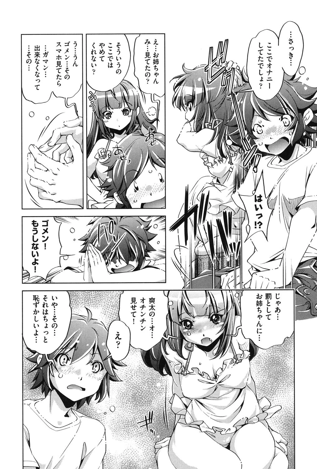 飼い姉 10ページ