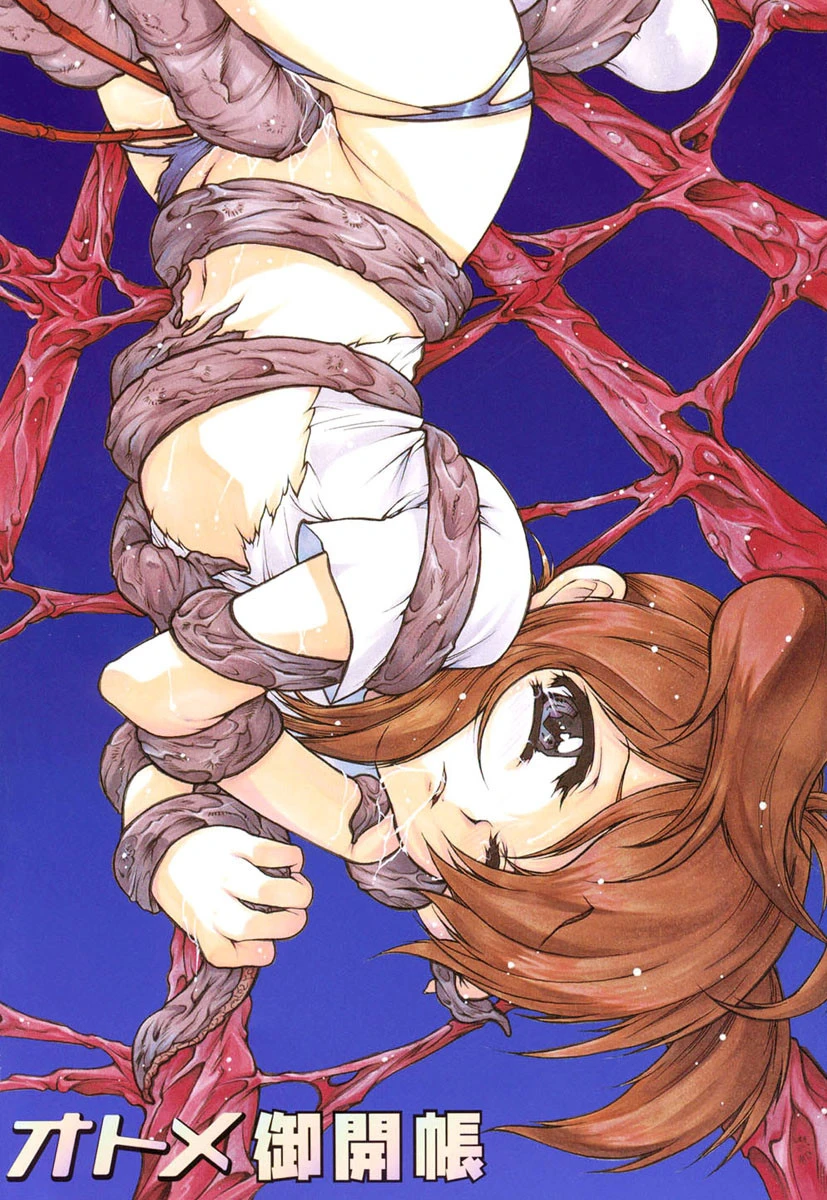 オトメ御開帳 3ページ