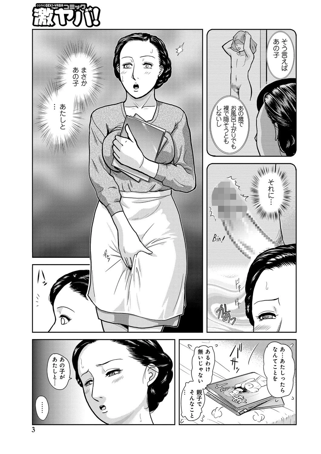 息子の怒張、母のおなにー、 3ページ