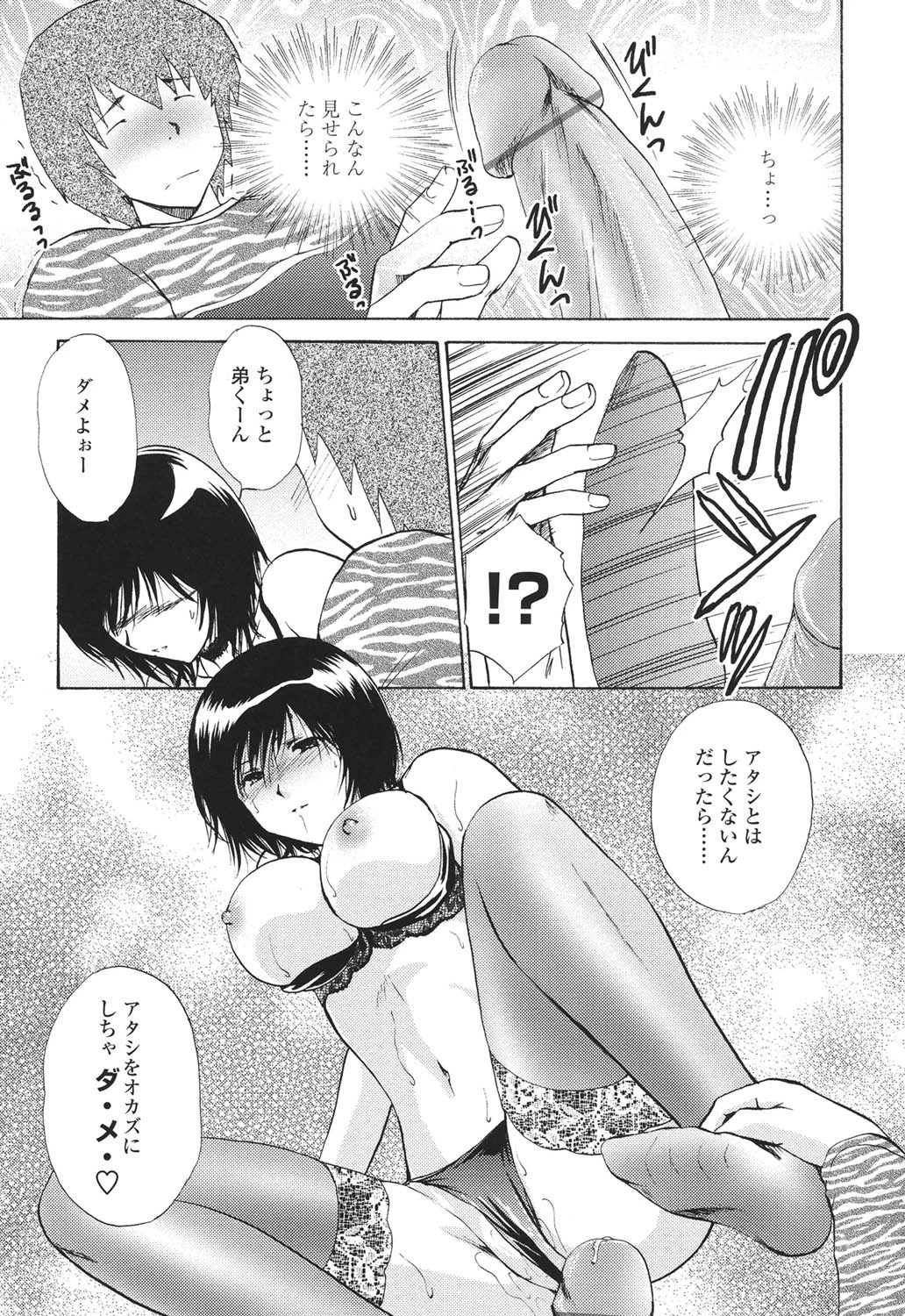 せめアネ 10ページ