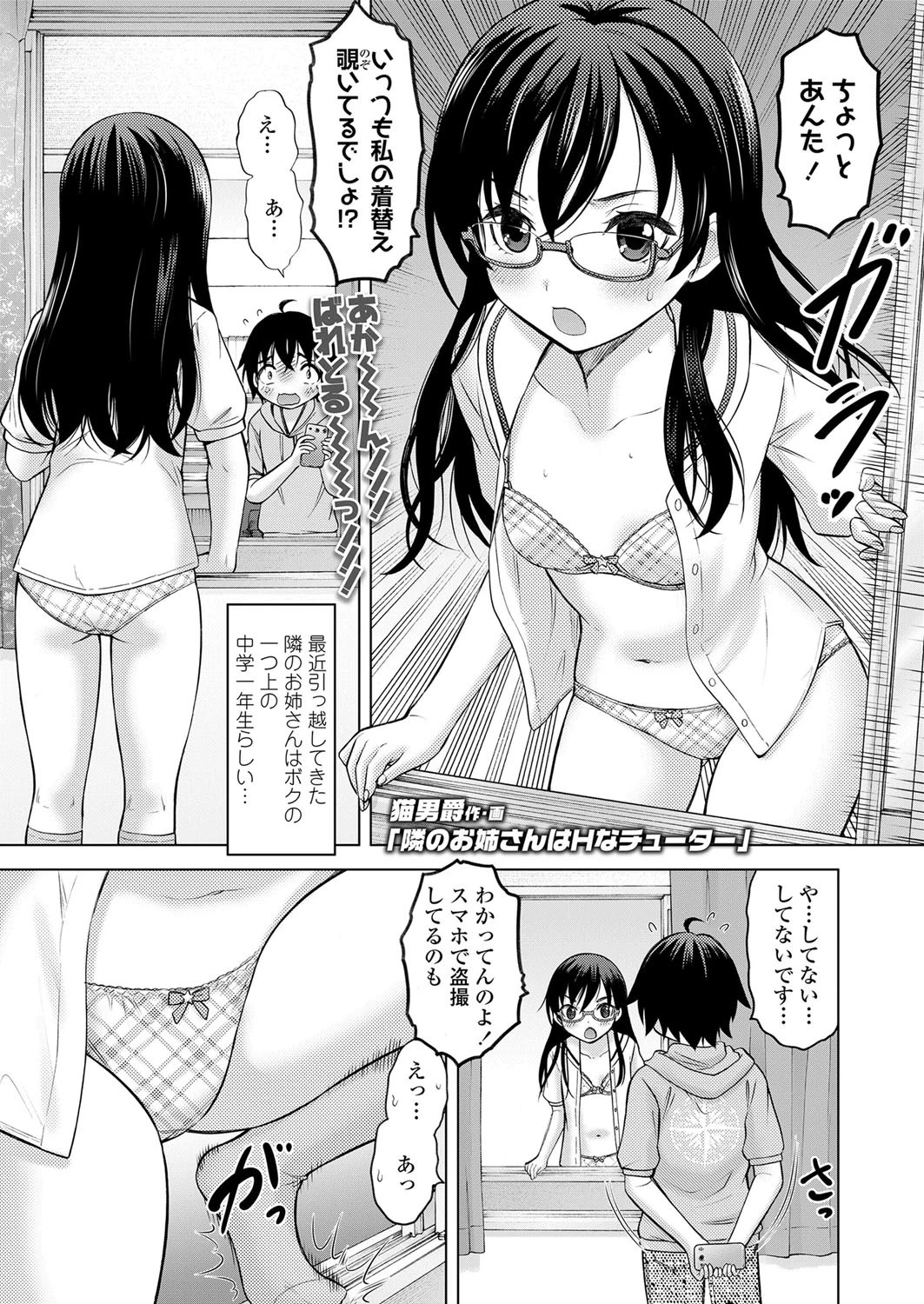 隣のお姉さんはHなチューター 猫男爵