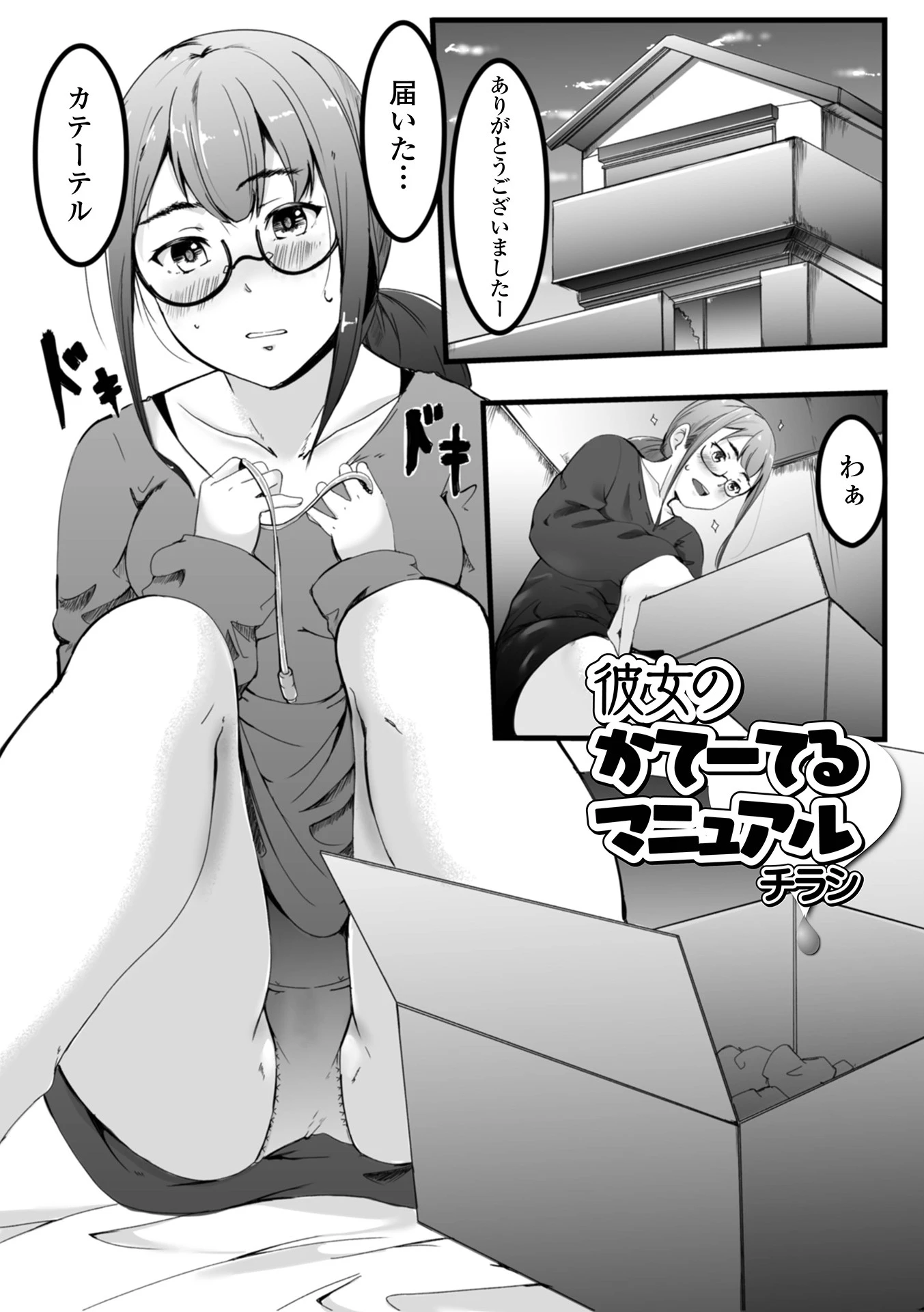 彼女のかてーてるマニュアル チラシ