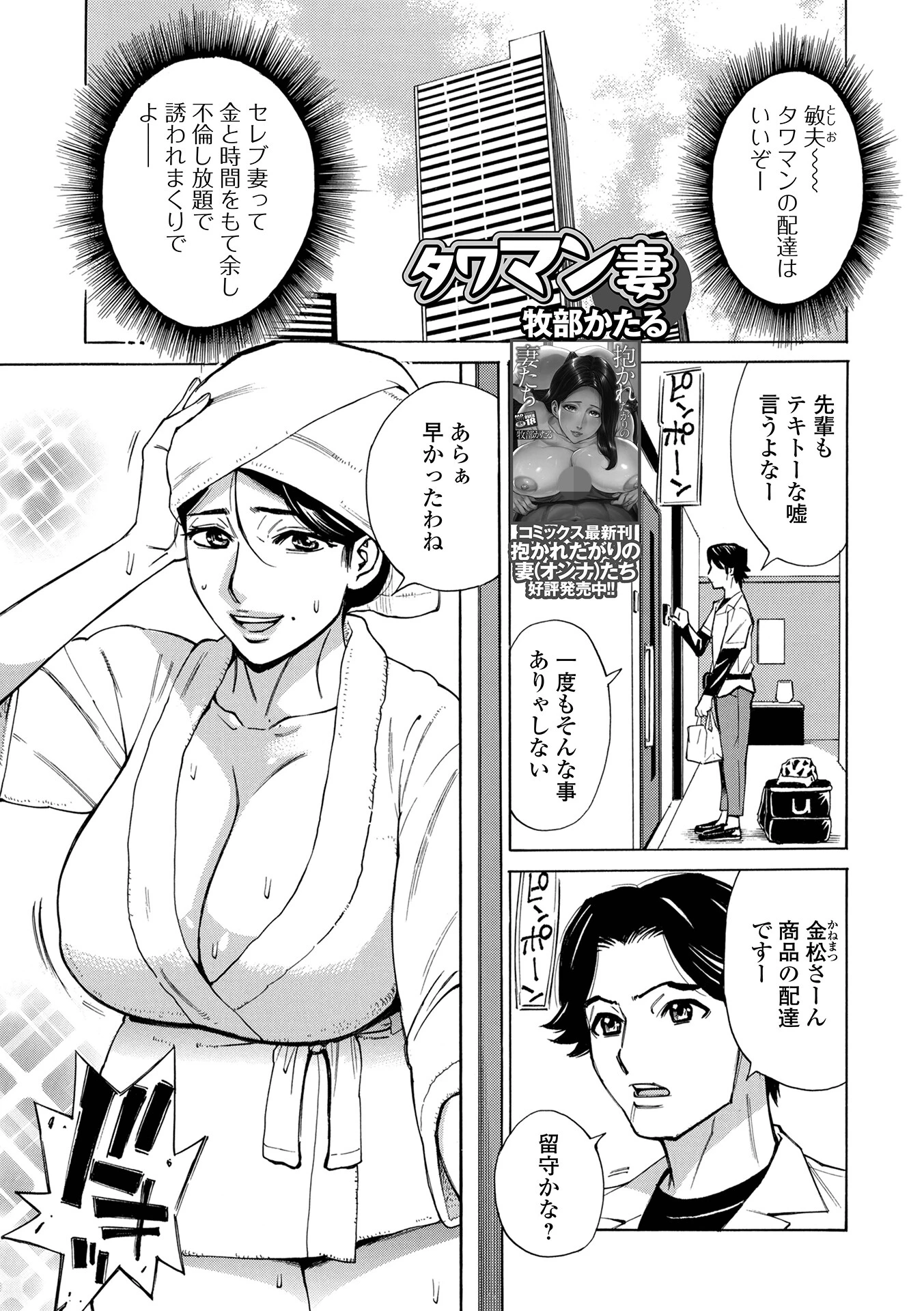 タワマン妻 エロ漫画 無料