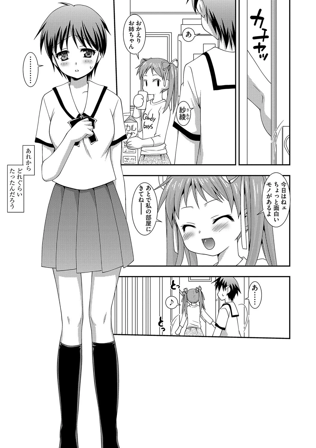 ふたなり姉と妹 2ページ
