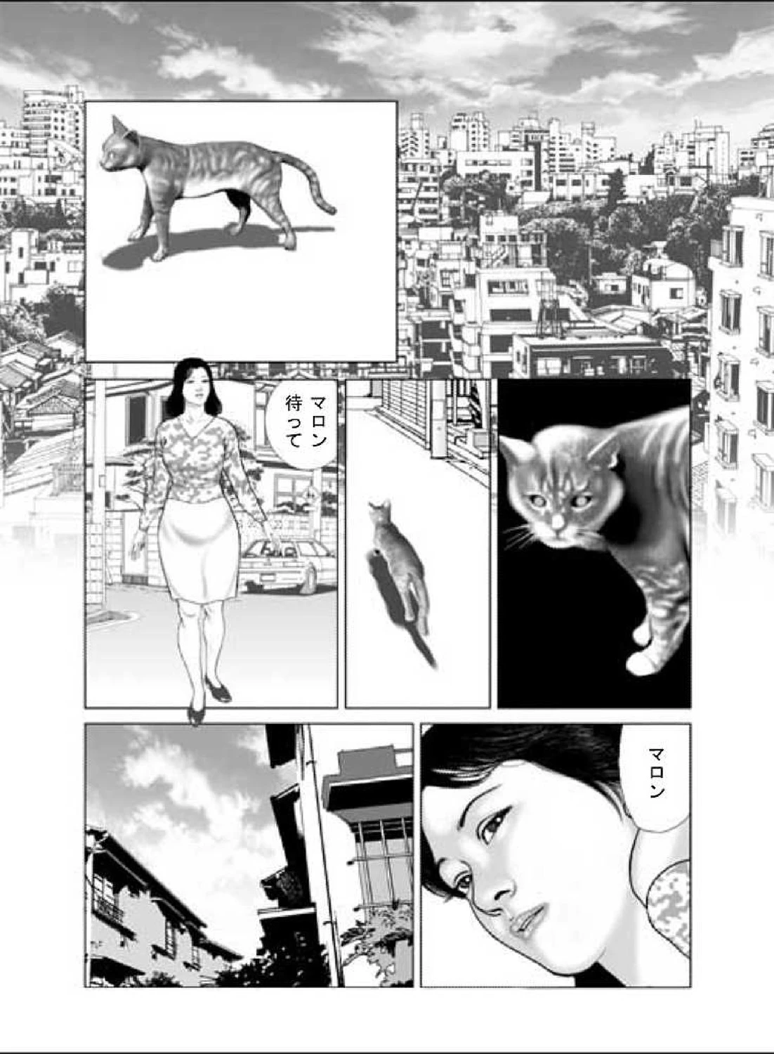 人妻スキャンダルシリーズ（6） 猫を飼う女 2ページ