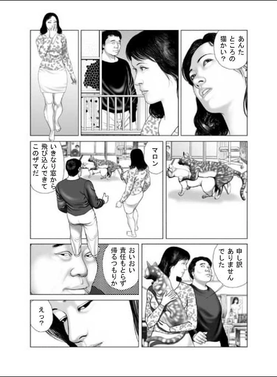 人妻スキャンダルシリーズ（6） 猫を飼う女 3ページ
