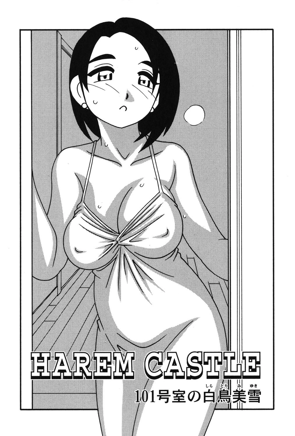 HAREM CASTLE 3ページ