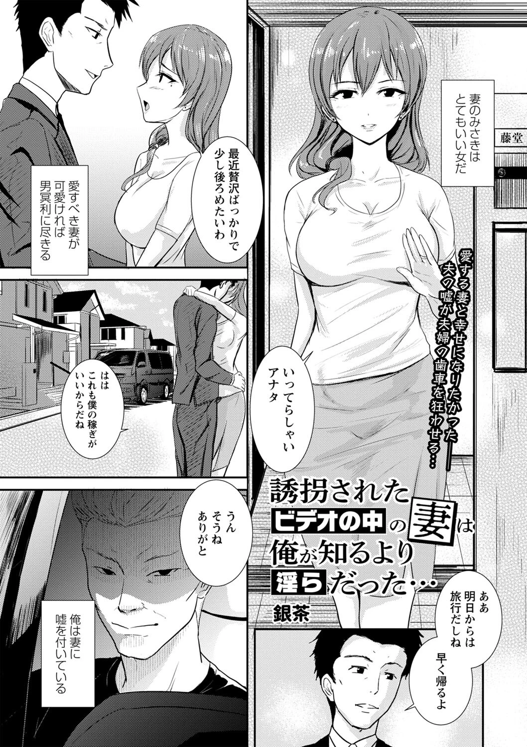 誘拐されたビデオの中の妻は俺が知るより淫らだった… 銀茶