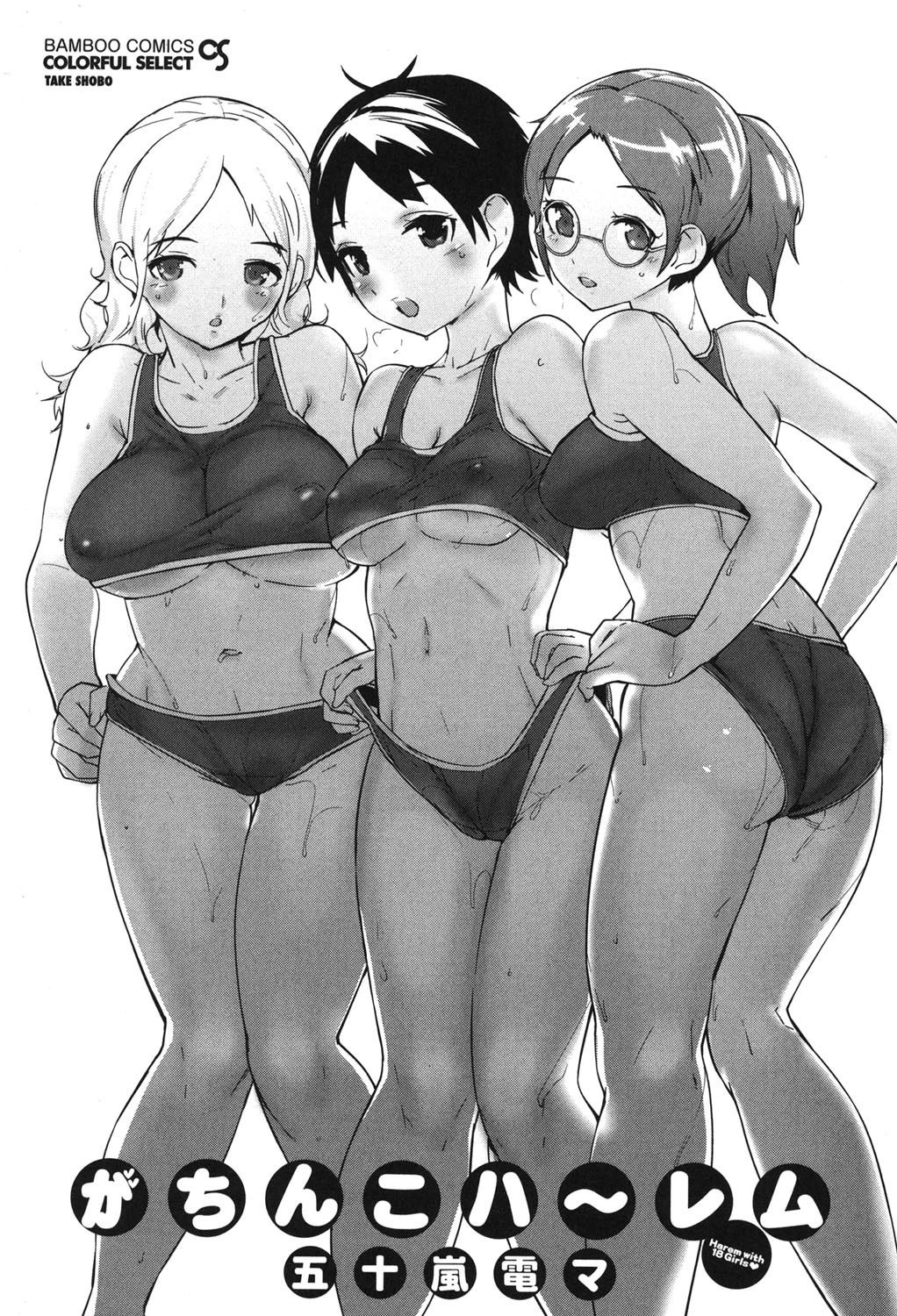 がちんこハ〜レム 2ページ