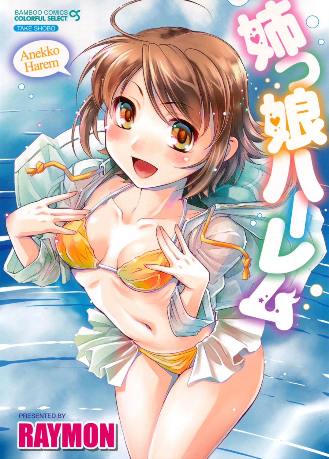 姉っ娘ハーレム RAYMON