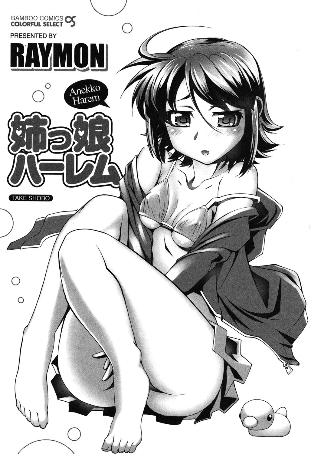 姉っ娘ハーレム 2ページ