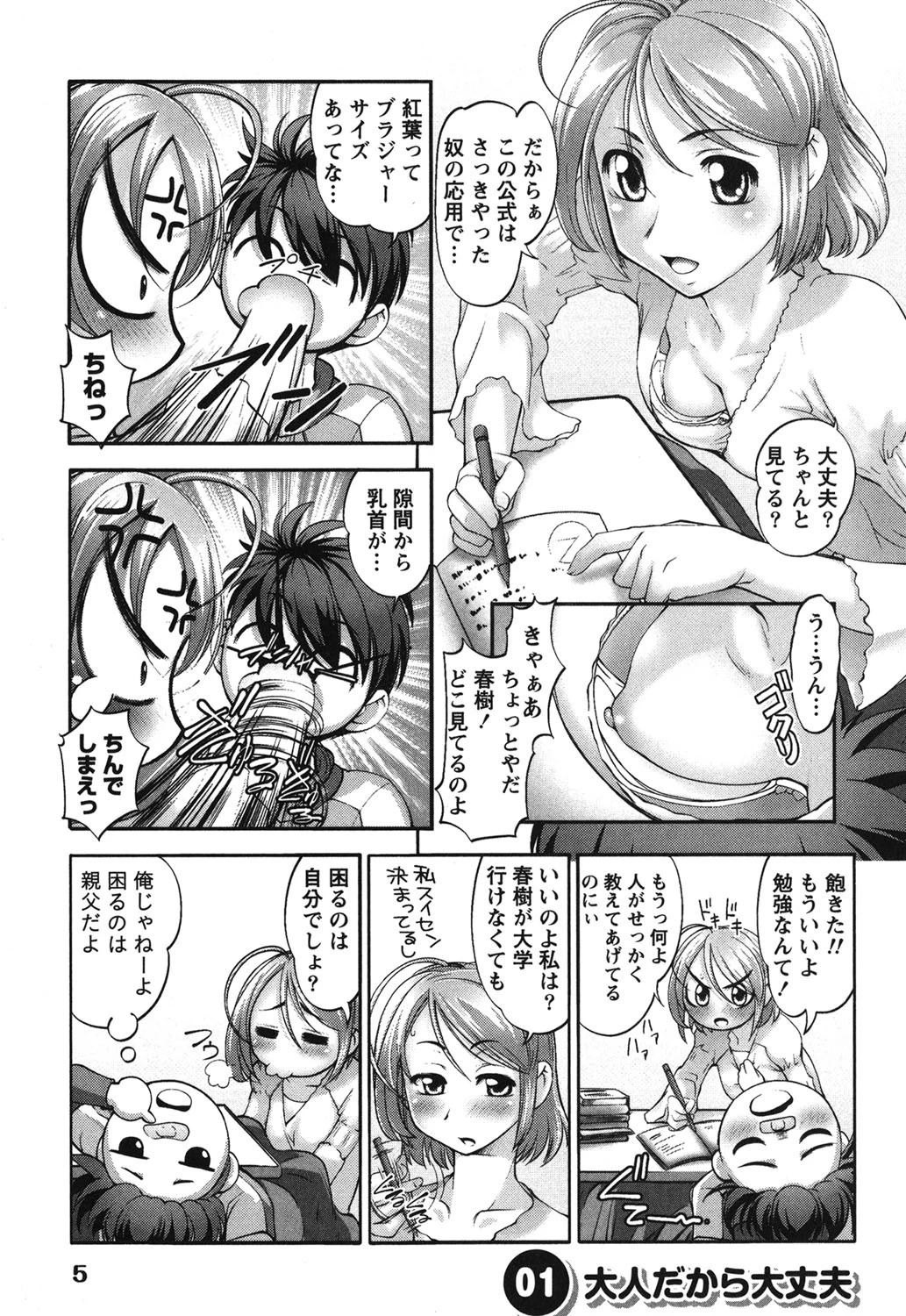 姉っ娘ハーレム 4ページ