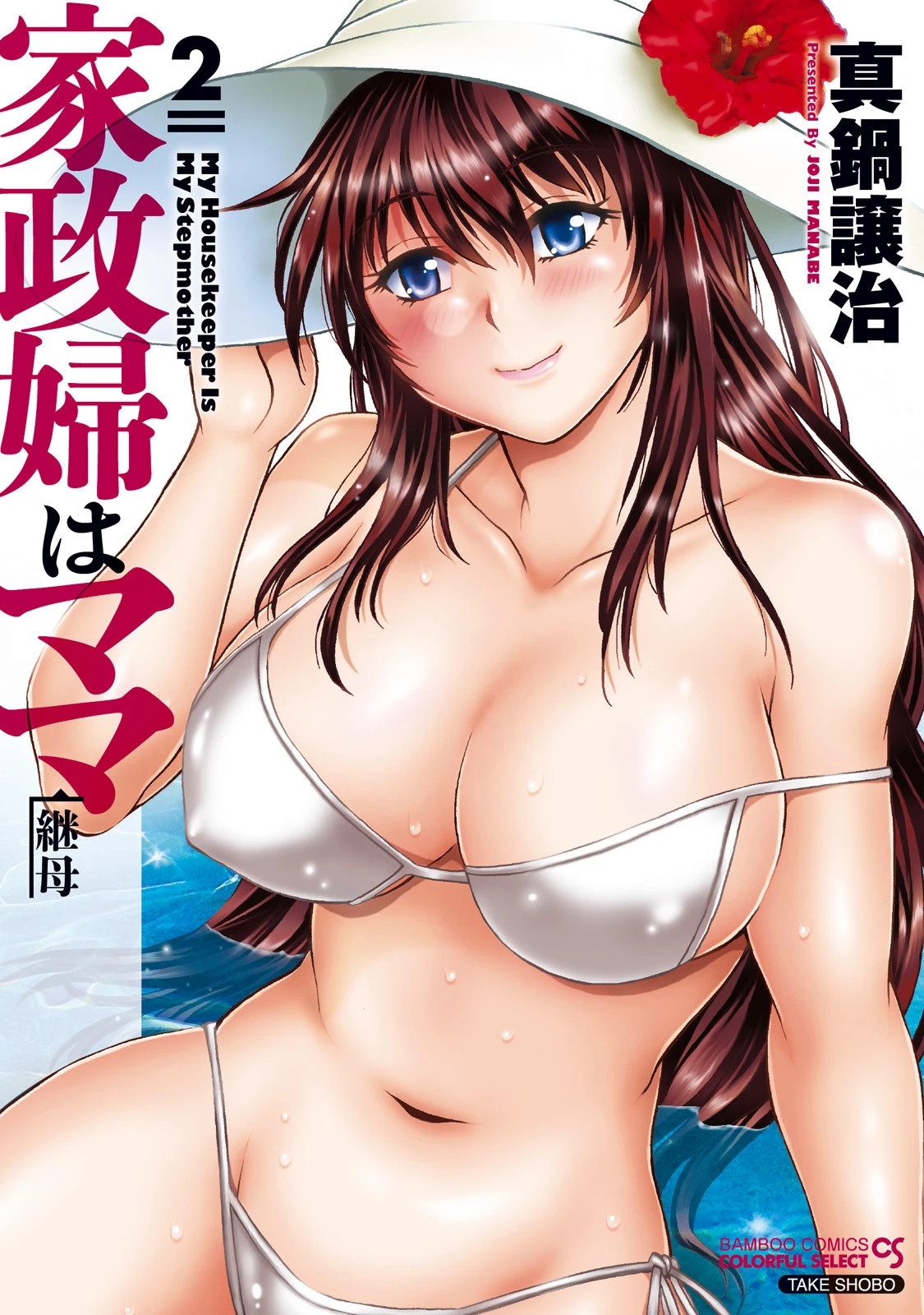 家政婦はママ （2） 真鍋譲治