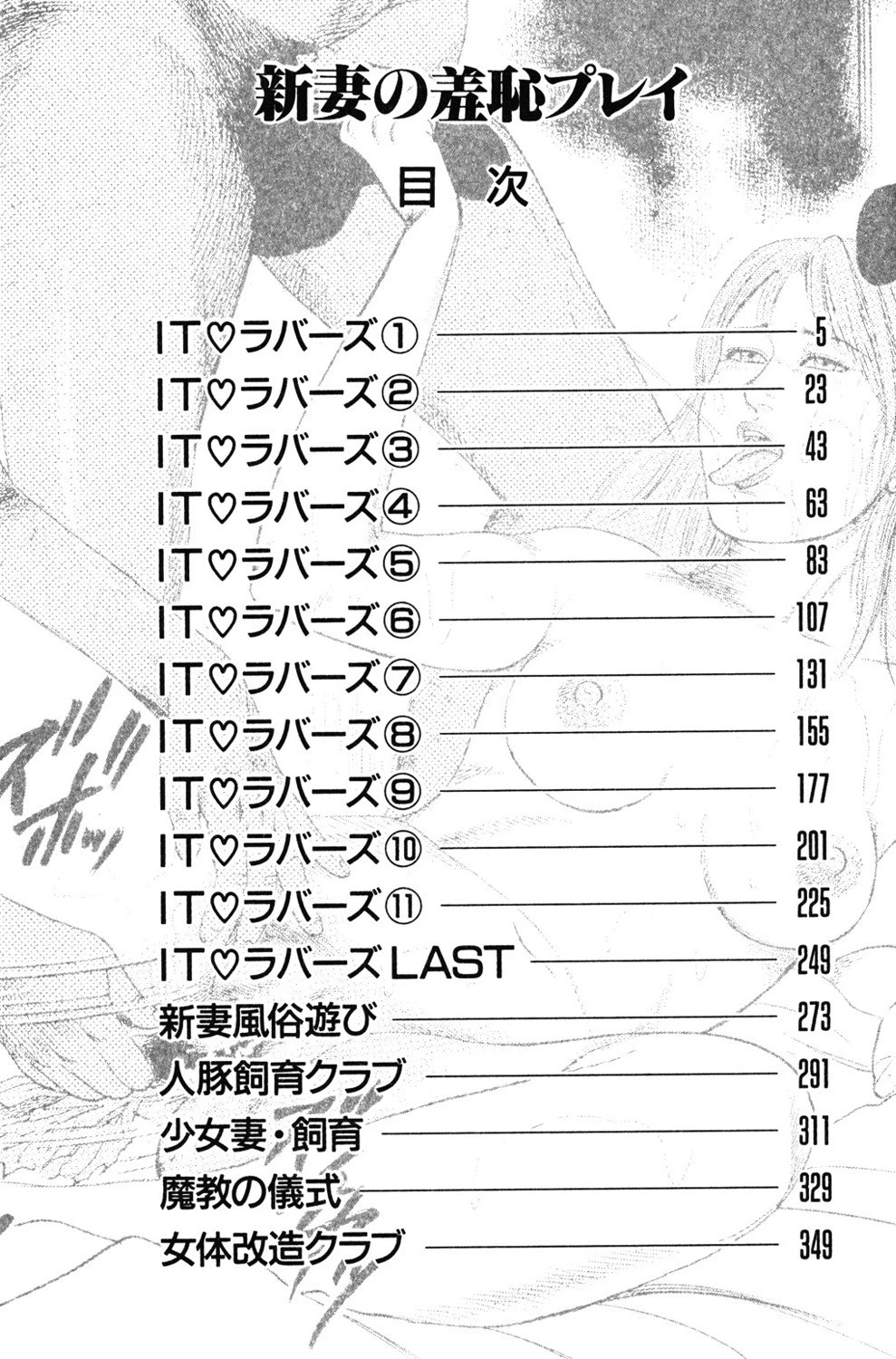 新妻の羞恥プレイ 3ページ