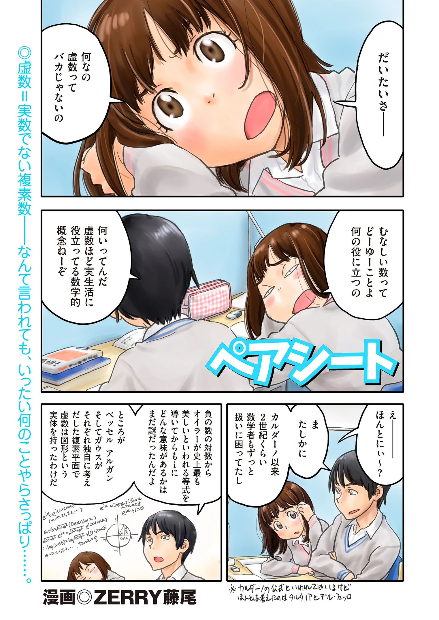 ペアシート ZERRY藤尾