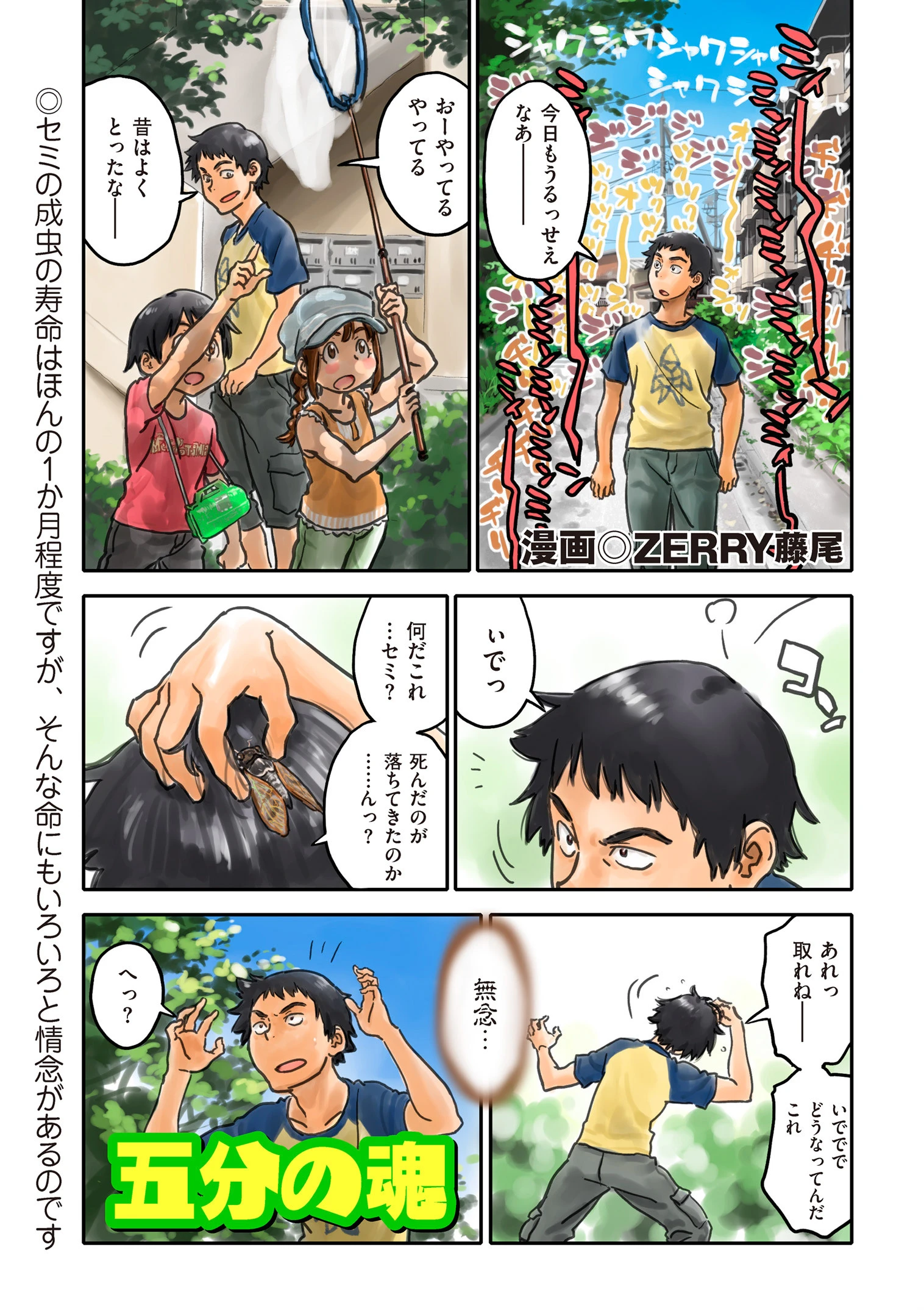 五分の魂 ZERRY藤尾