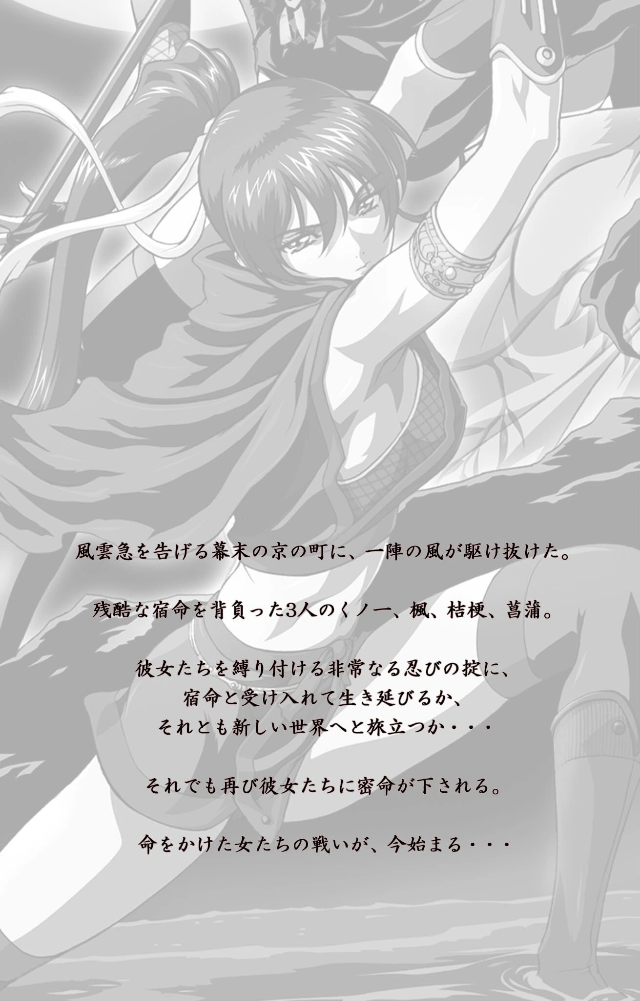 くノ一 幕末奇譚シリーズ 2ページ