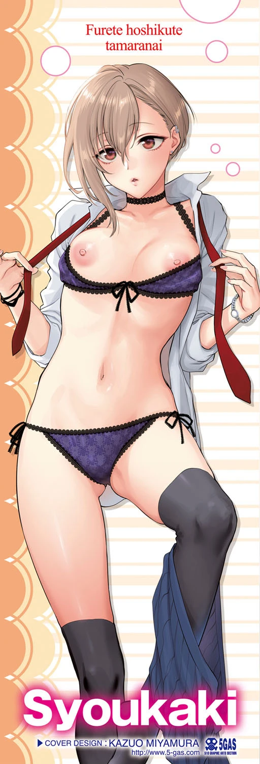 ふれてほしくて たまらない【FANZA限定特典付き】 2ページ