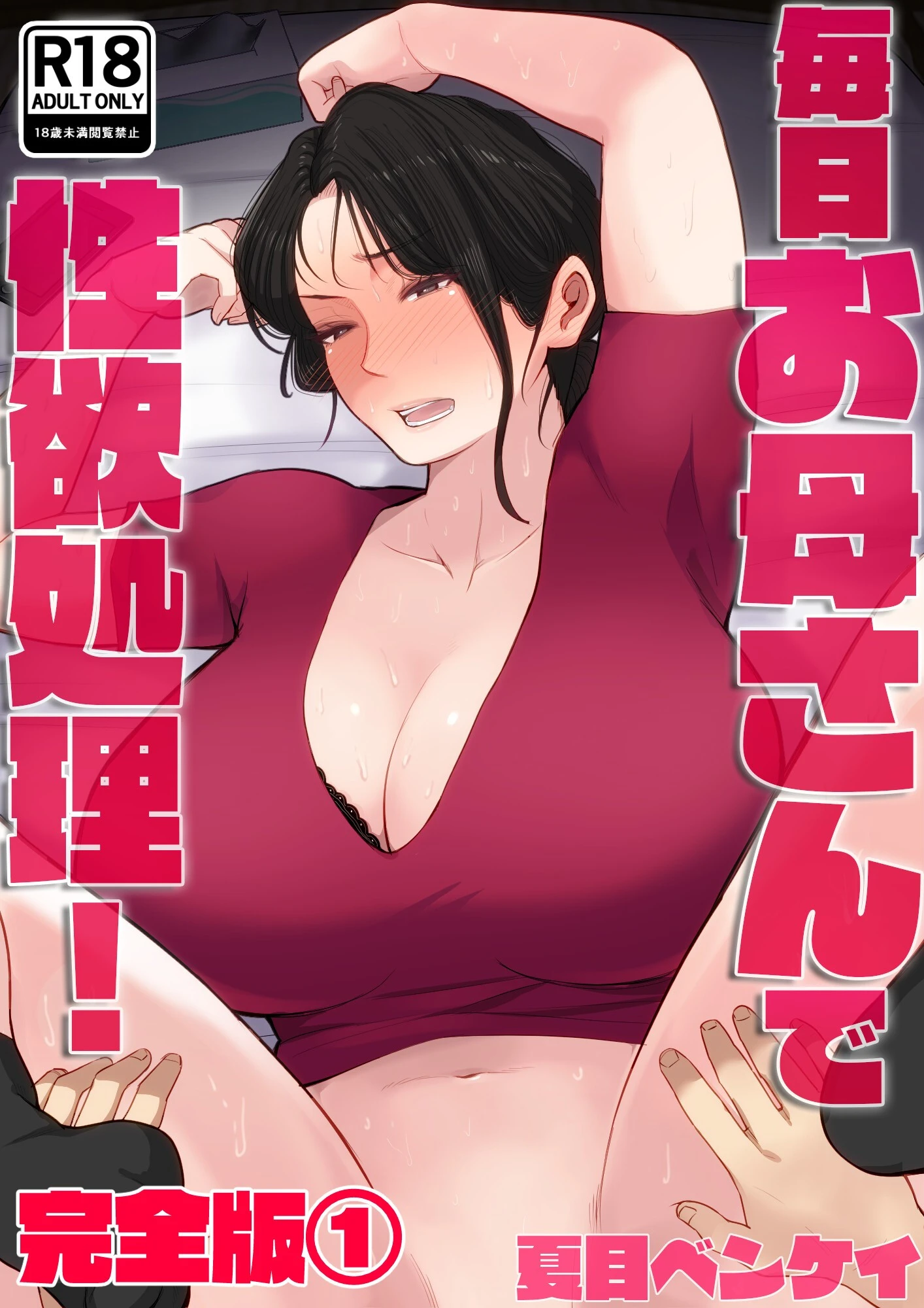 毎日お母さんで性欲処理！ 完全版1 夏目ベンケイ