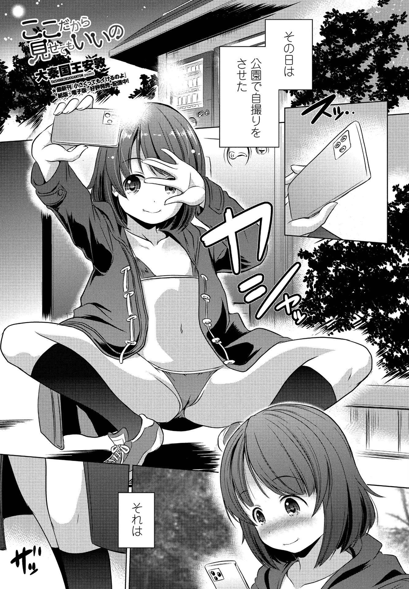 ここだから見せてもいいの 大秦国王安敦