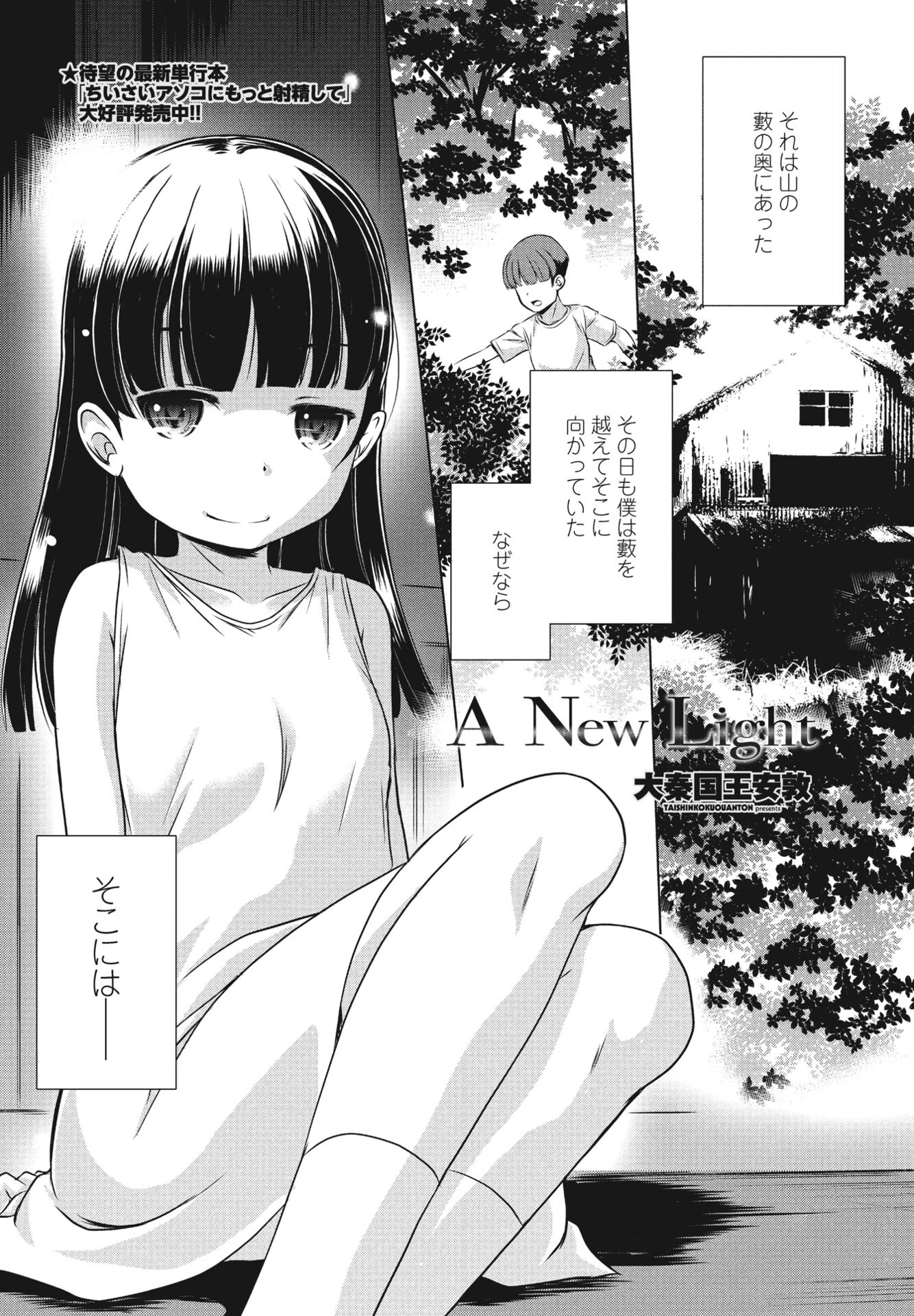 A New Light 大秦国王安敦