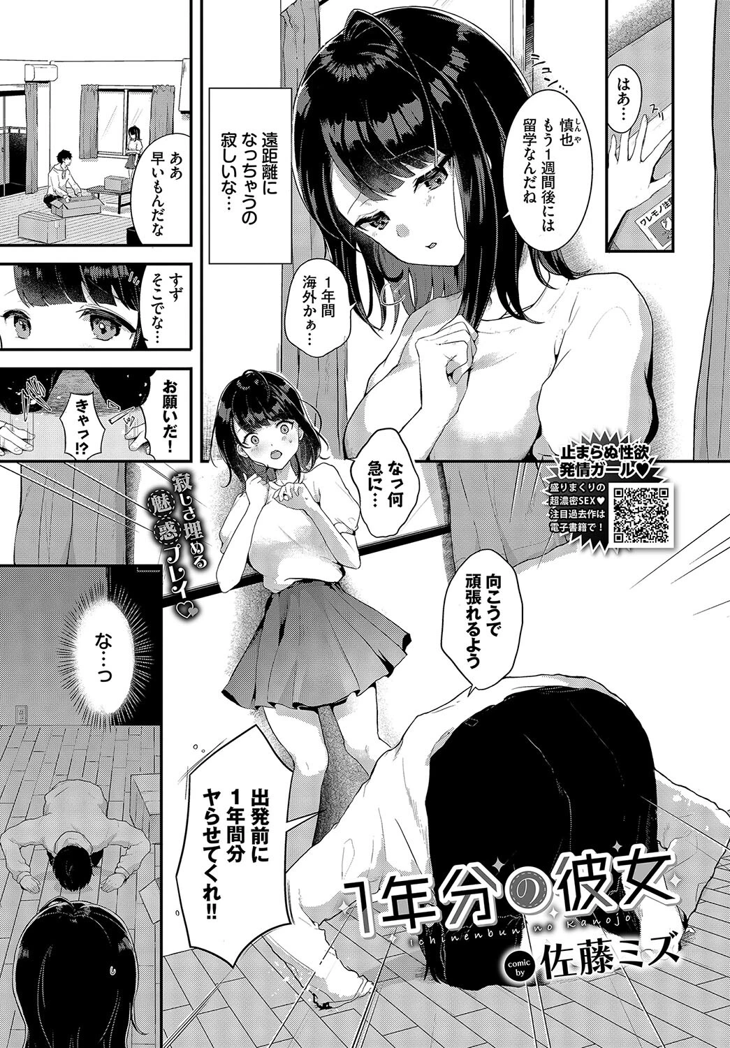 1年分の彼女 佐藤ミズ