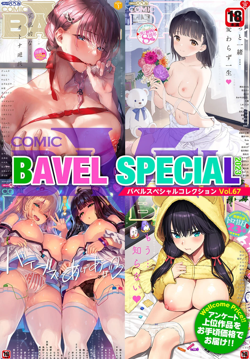 COMIC BAVEL SPECIAL COLLECTION（コミックバベル スペシャルコレクション）VOL67 紺菓