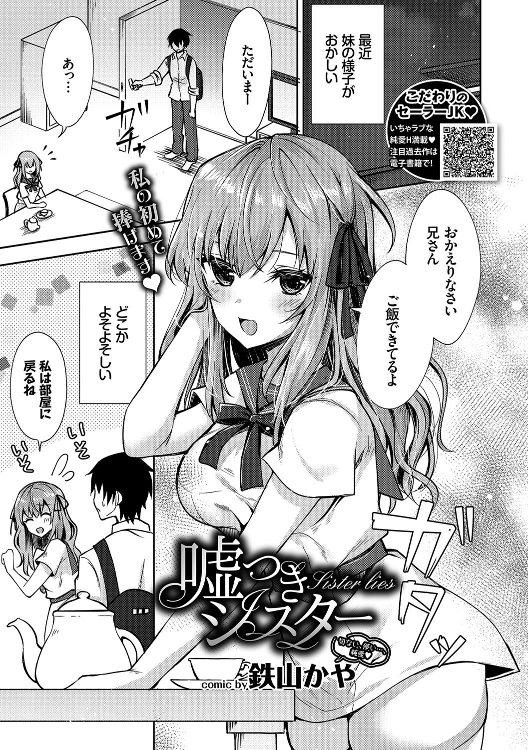 嘘つきシスター 鉄山かや