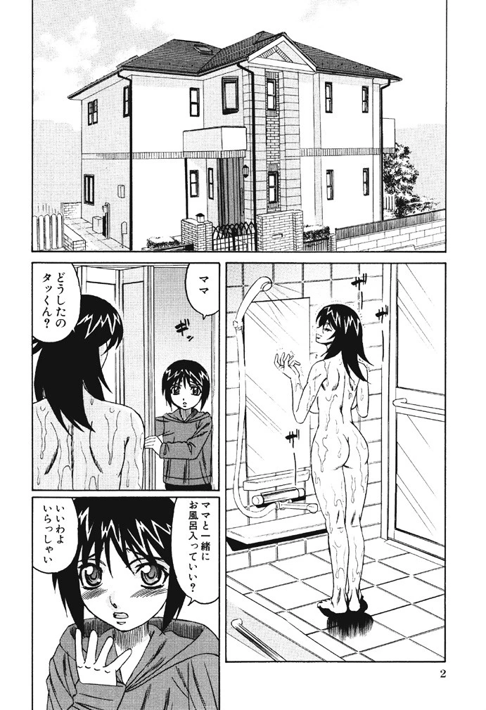 熟肉姦淫 3ページ