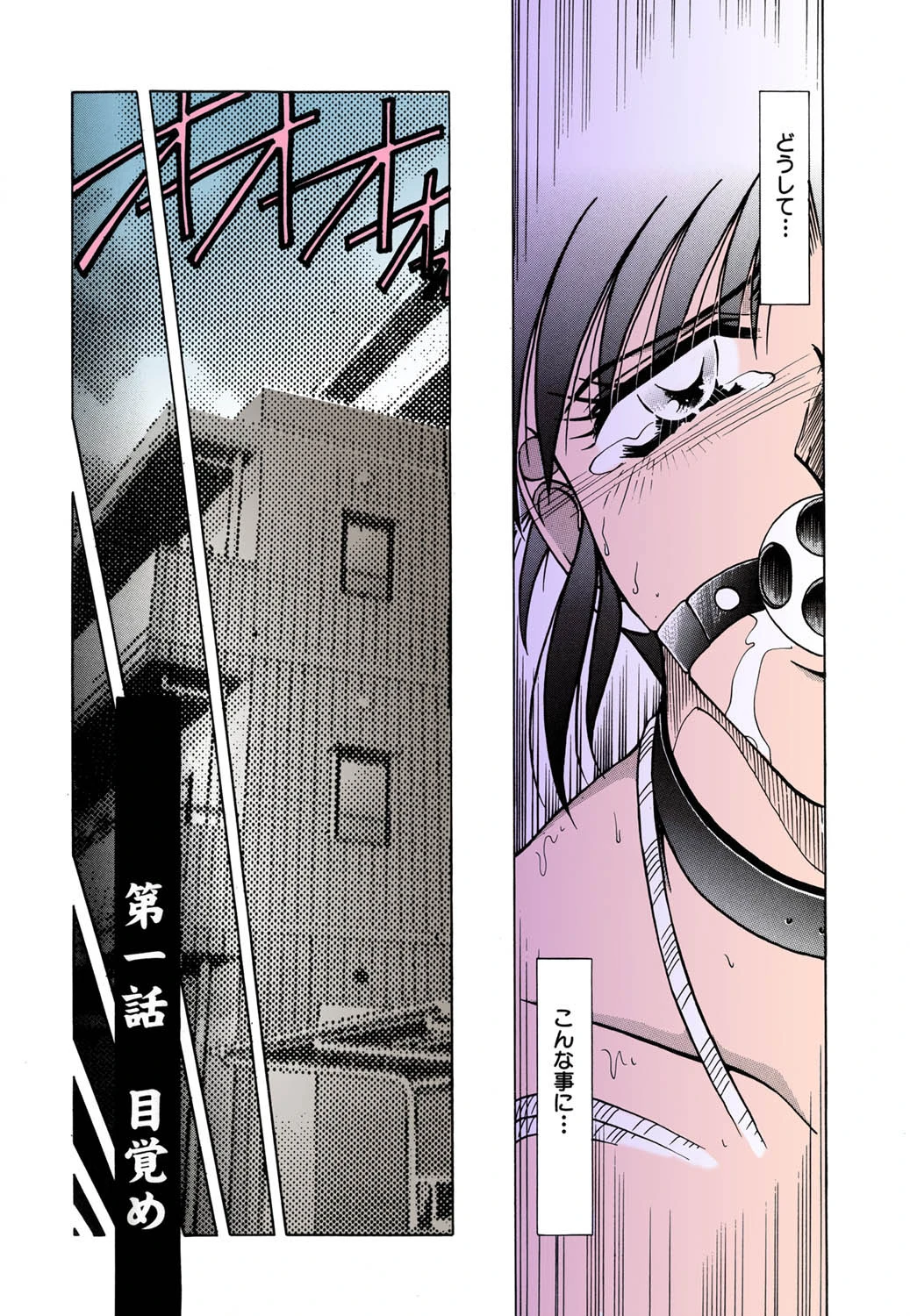 地獄調教【高解像度フルカラー】 5ページ