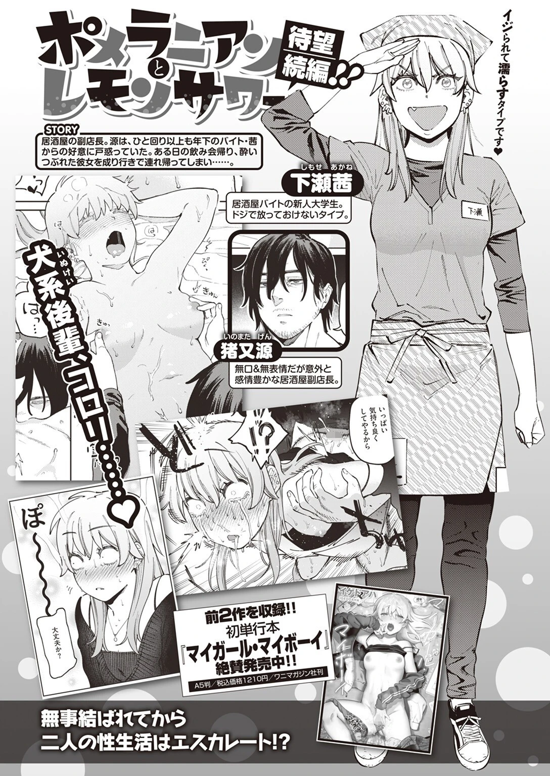 ポメラニアンと発情期 イゲドアハ