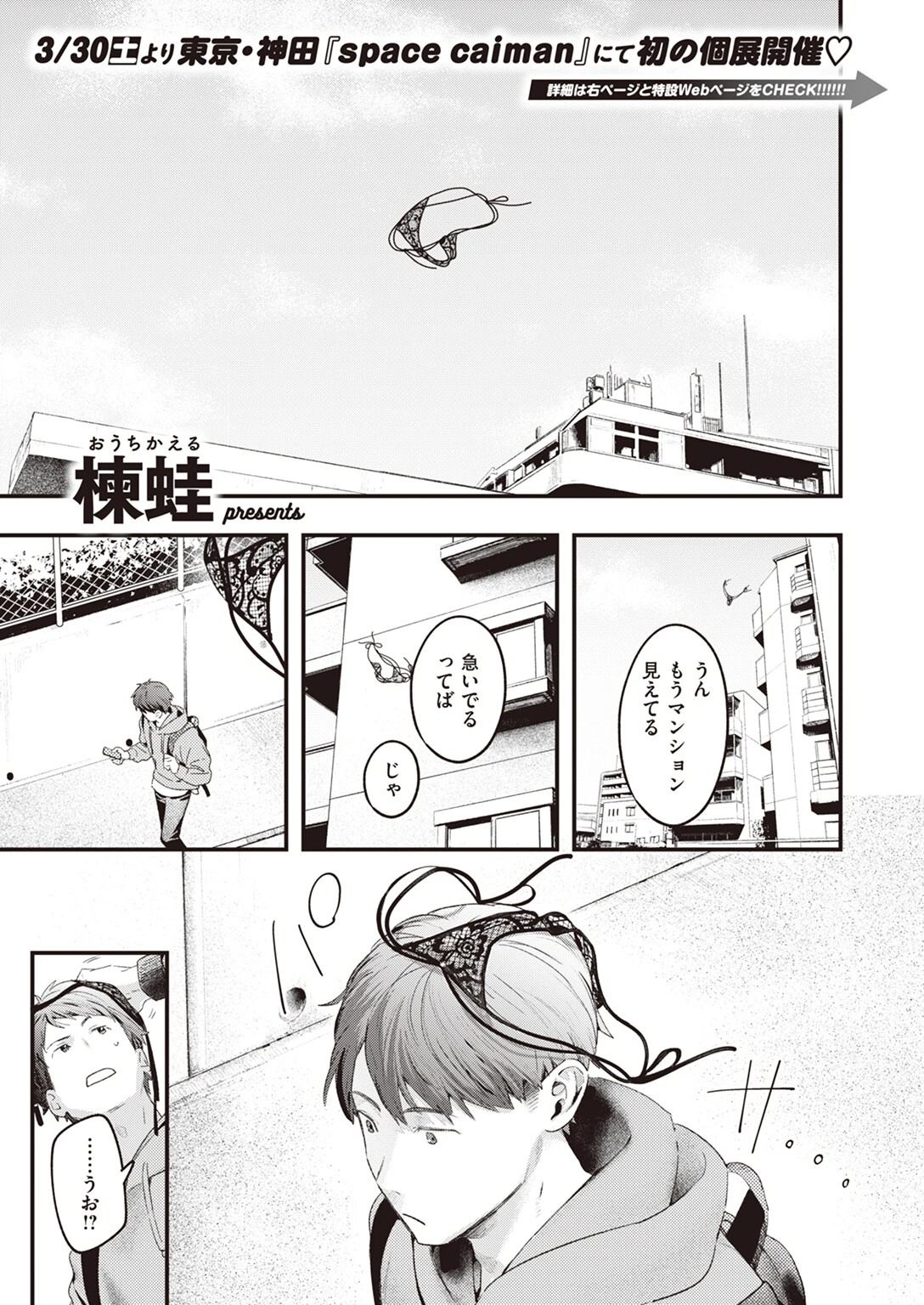 本日の勝負服 楝蛙