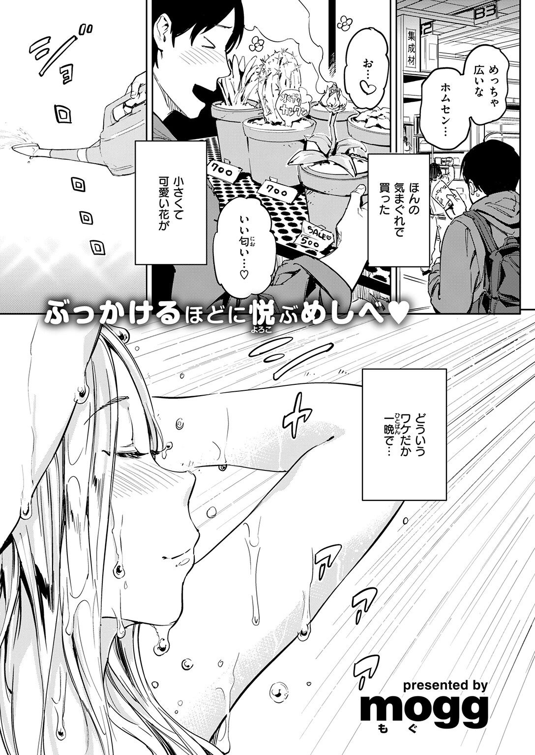 花咲かムスメ mogg