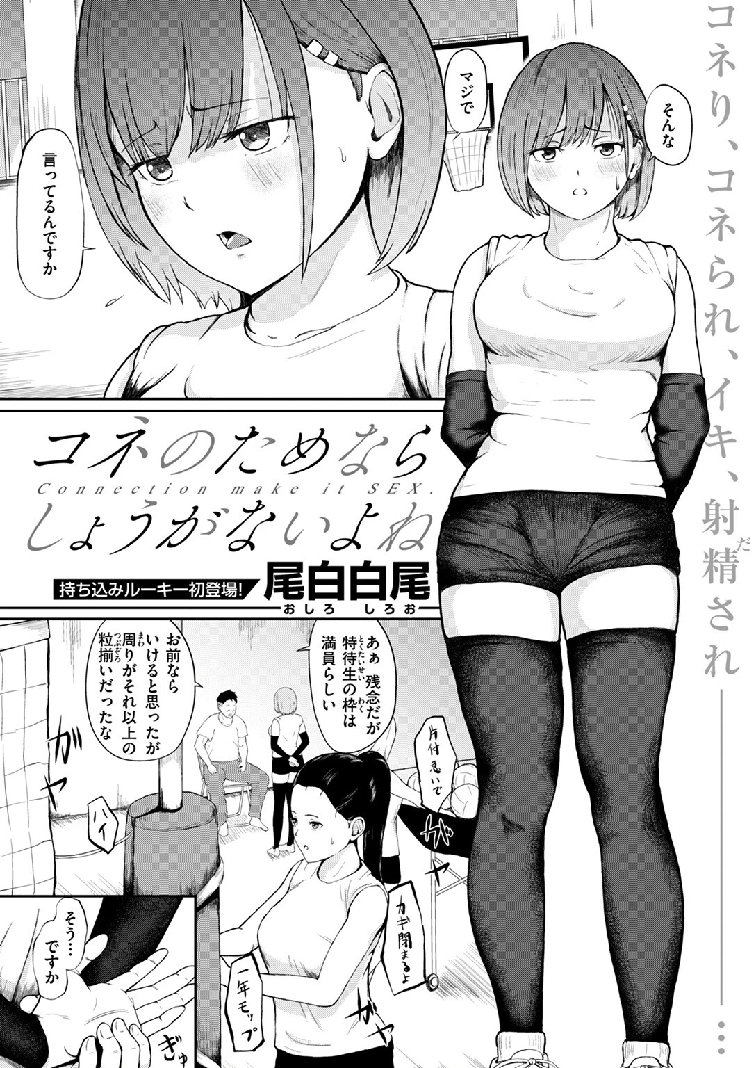 コネのためならしょうがないよね 尾白白尾