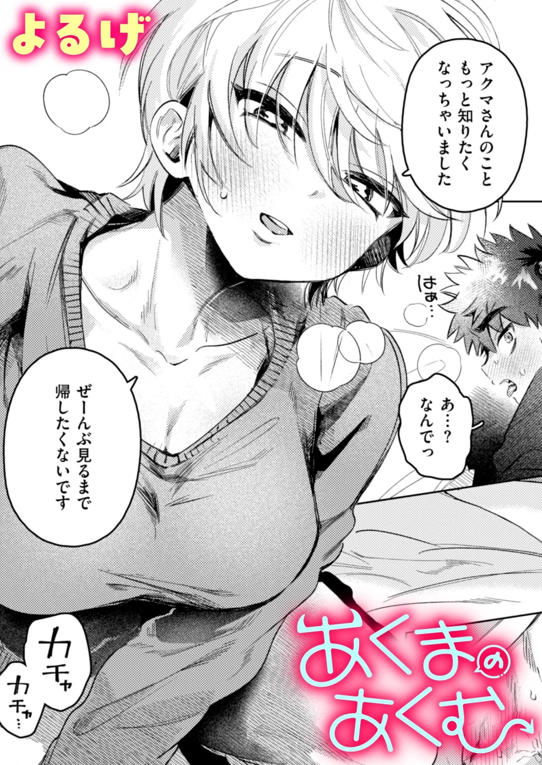 あくまのあくむ よるげ