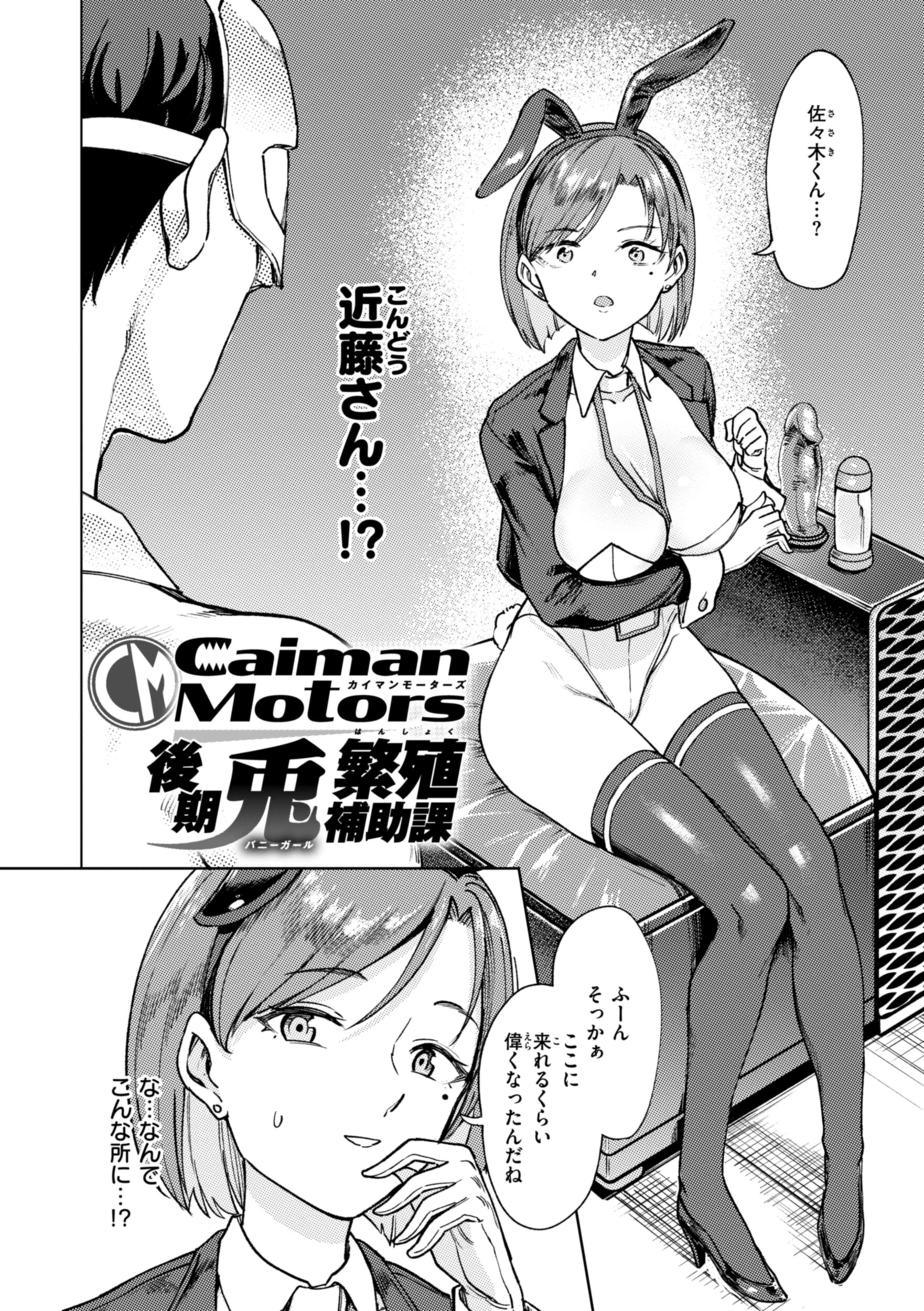 性交遊戯 24ページ