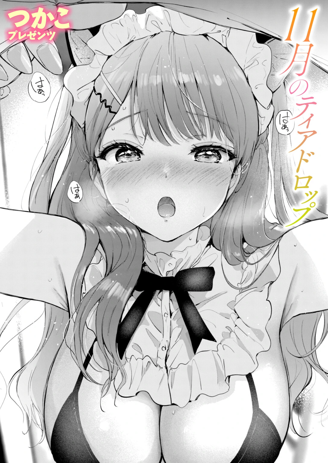 11月のティアドロップ つかこ